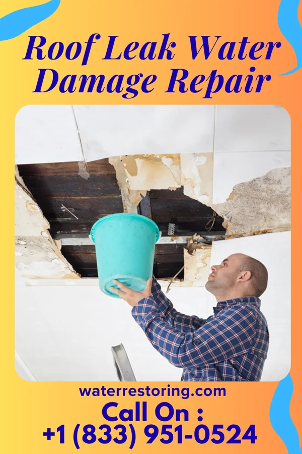 Roof Leak Water Damage Repair in Tonganoxie, KS