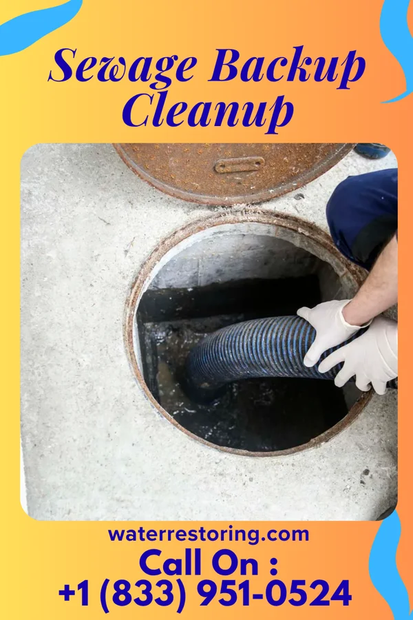 Sewage Backup Cleanup in Tonganoxie, KS