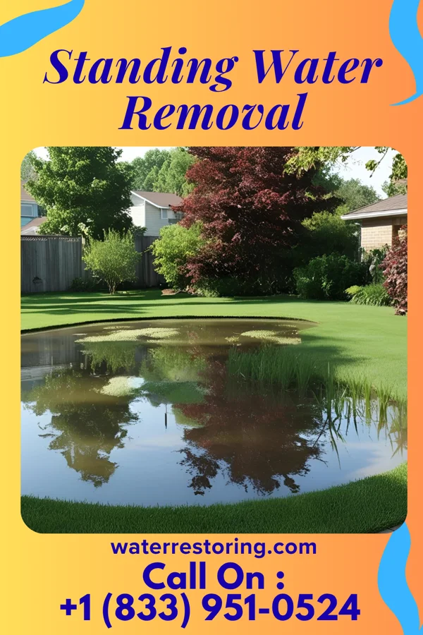 Standing Water Removal in Tonganoxie, KS